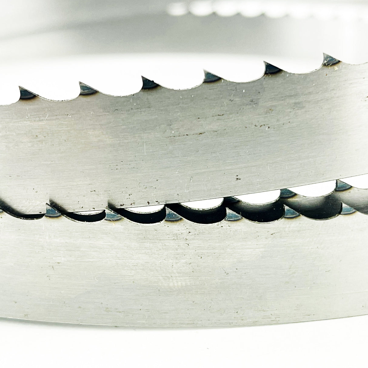 Sega a nastro per taglio alimentare da 2.375 mm di lunghezza x 19 mm di larghezza – Confezione da 2 lame