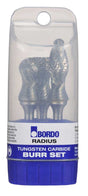Bordo Radius Burr Set