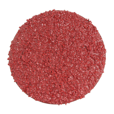 Sheffield Grinding Disc R Type C24 Grit Ceramic