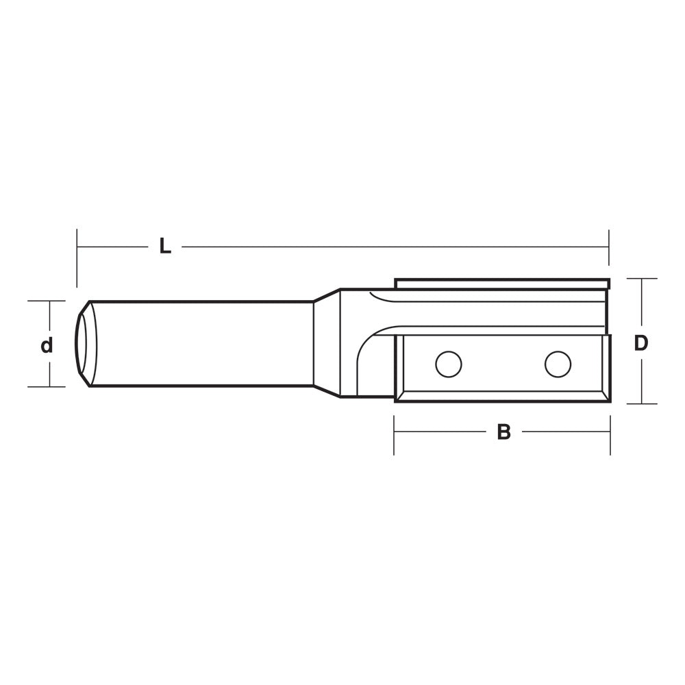 Replaceable Insert 2 Flute Straight Bit | CARBiTOOL