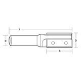 Replaceable Insert 2 Flute Straight Bit | CARBiTOOL