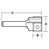 Replaceable Insert 2 Flute Straight Bit | CARBiTOOL