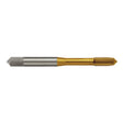 Sutton Tap T521 GH7 B Forming Jis Hsse TIN